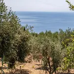 度假村 Borgo Del Cannitello Romantic Boutique